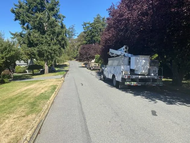 Perspective view of a utility boom truck parked on the side of a residential street