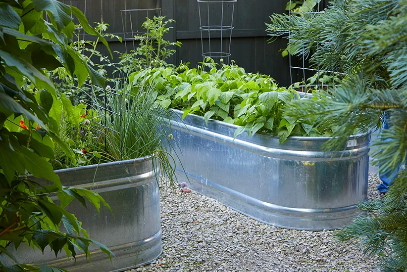 Aluminum horse trough vegetable garden planters