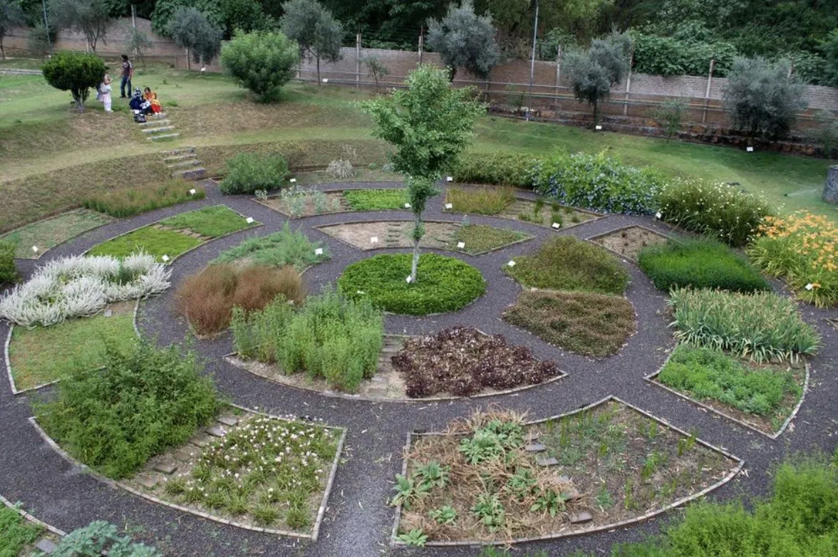 Circular medicinal herb and perennial garden layout