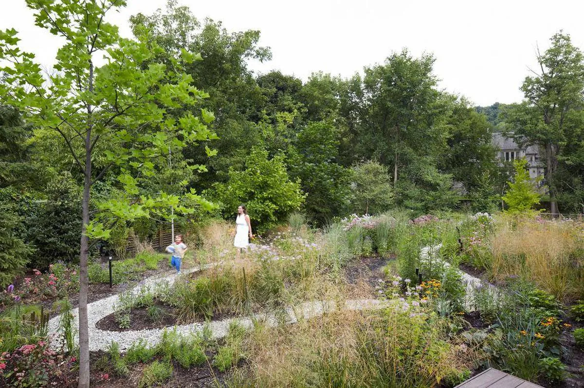 Naturalized meadow planting with informal walking path