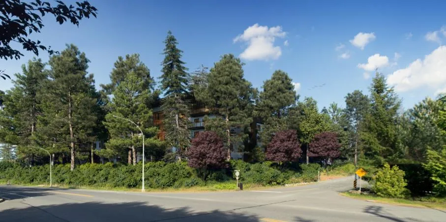 Rendering of the current application showing reduced building heights and increased tree preservation