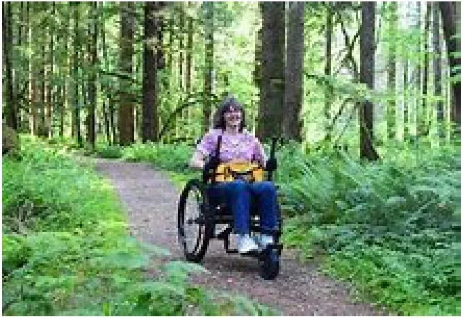 Rendering of an individual in a wheelchair using the accessible forest nature walk