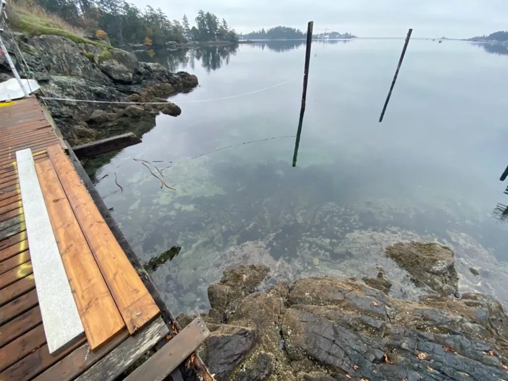 Rocky shoreline and existing boathouse deck