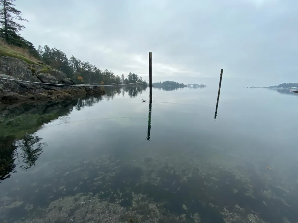 Overview of the marine habitat adjacent to the property