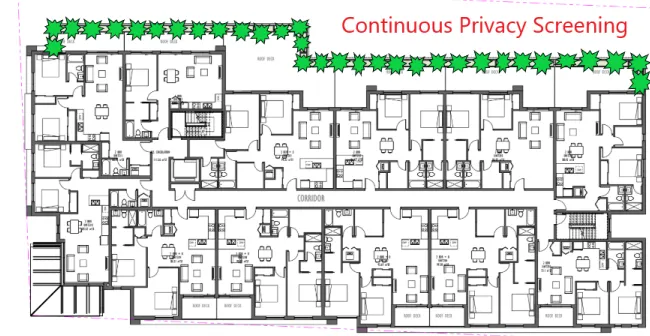 Proposed Second Floor Plan with a highlighted continuous privacy screening hedge along the north boundary