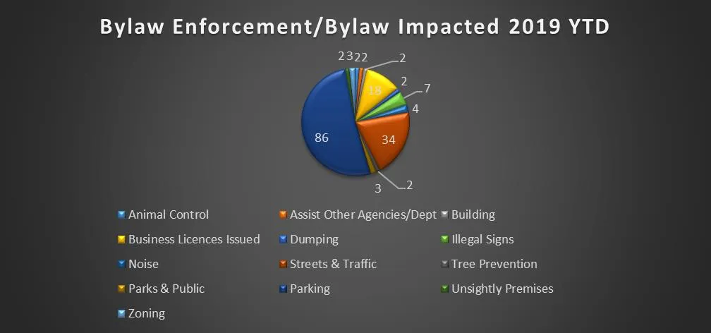 Pie chart showing the distribution of bylaw categories impacted year-to-date for 2019