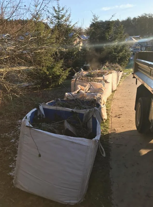 Large white debris bags filled with invasive plants from the Robin Hill Park work party