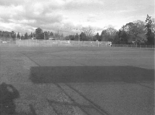 Black and white photograph of the same park field shown without geese present