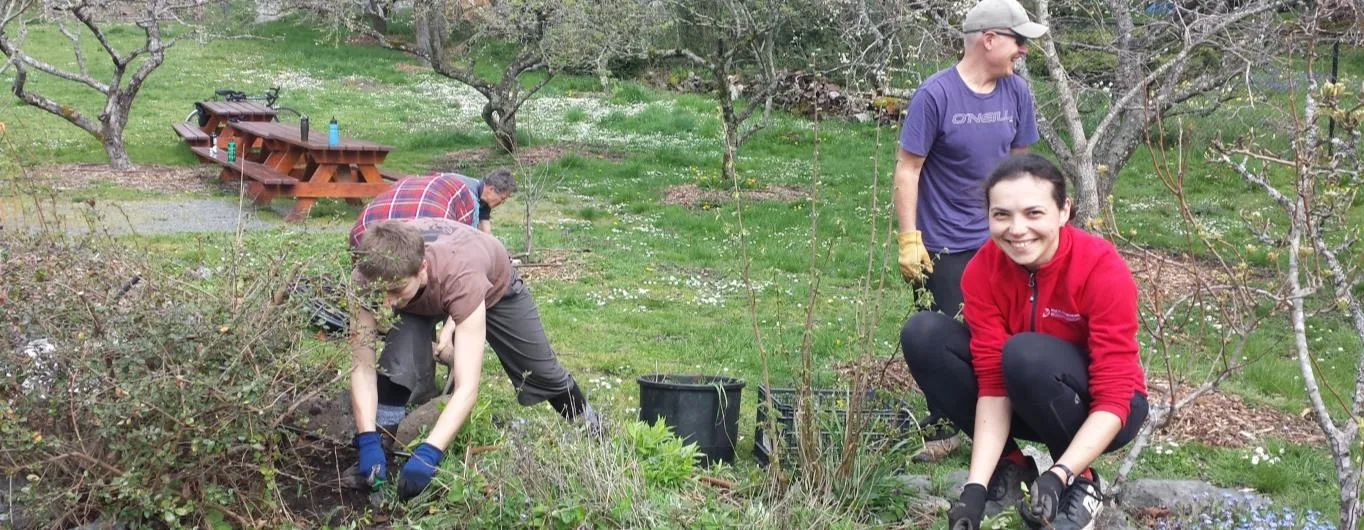 Two volunteers working in the garden, one planting or weeding while the other looks on