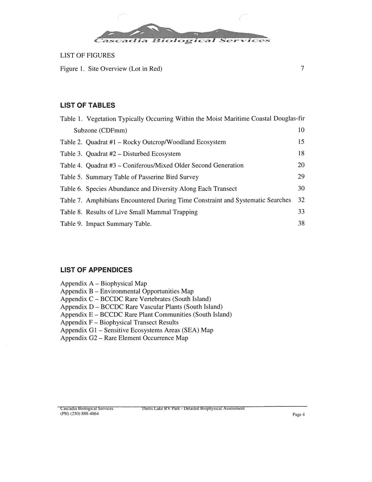Document image
