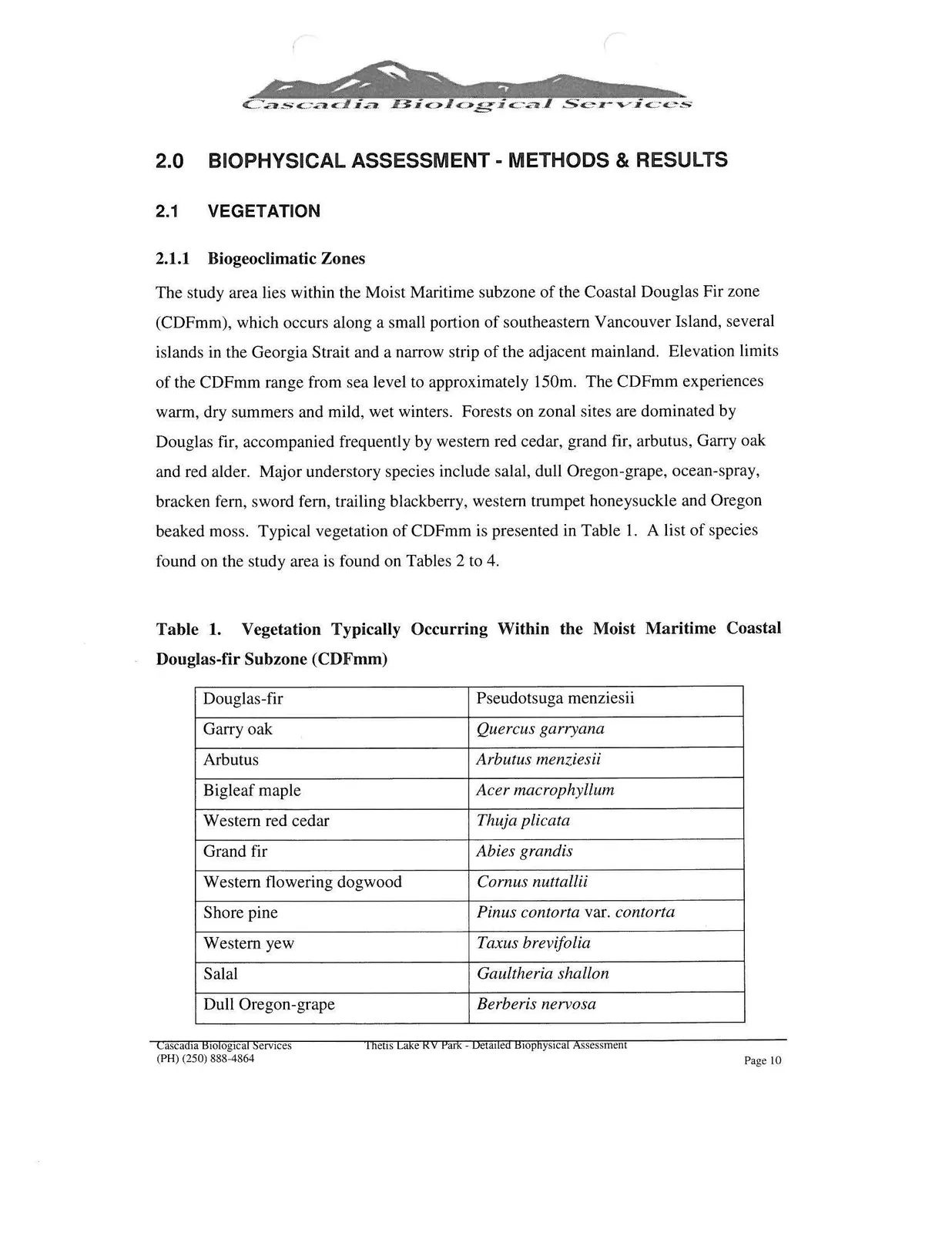 Document image