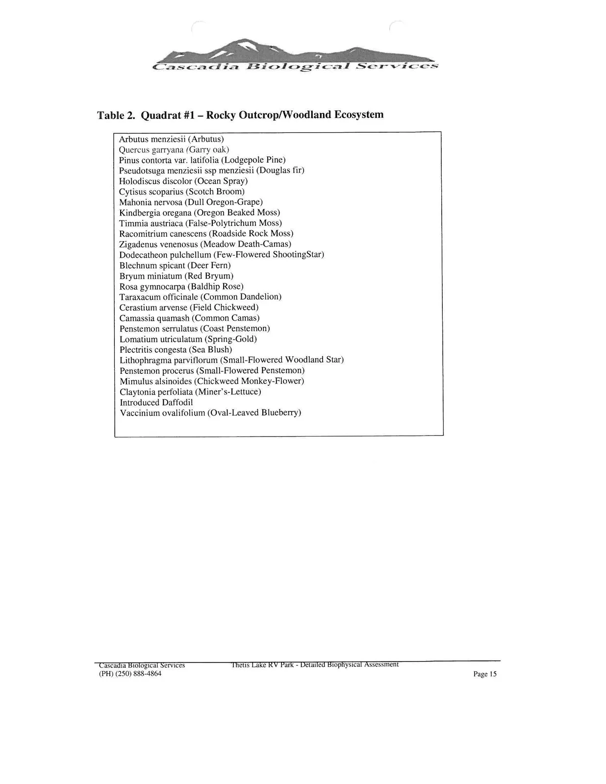 Document image