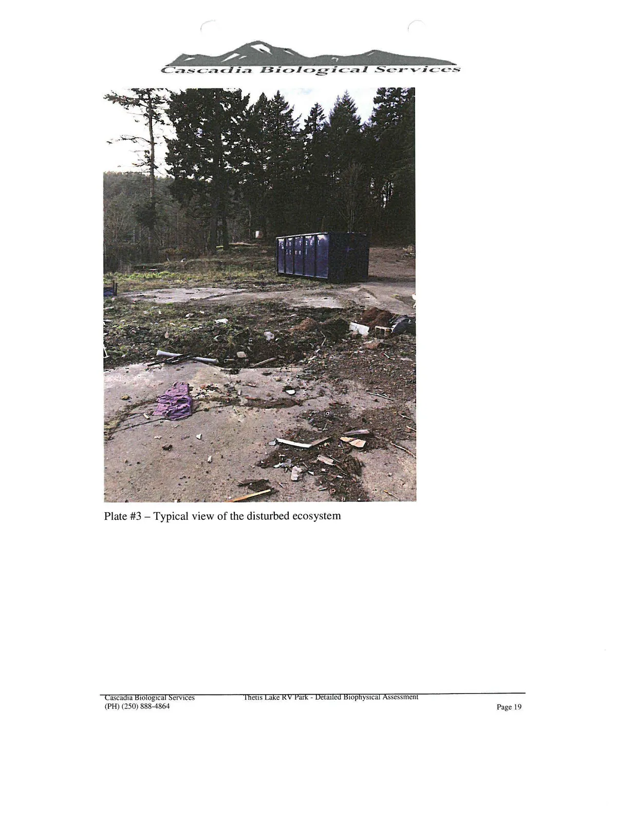 Photograph of a cleared, disturbed area of the site with a large blue waste bin and some scattered debris