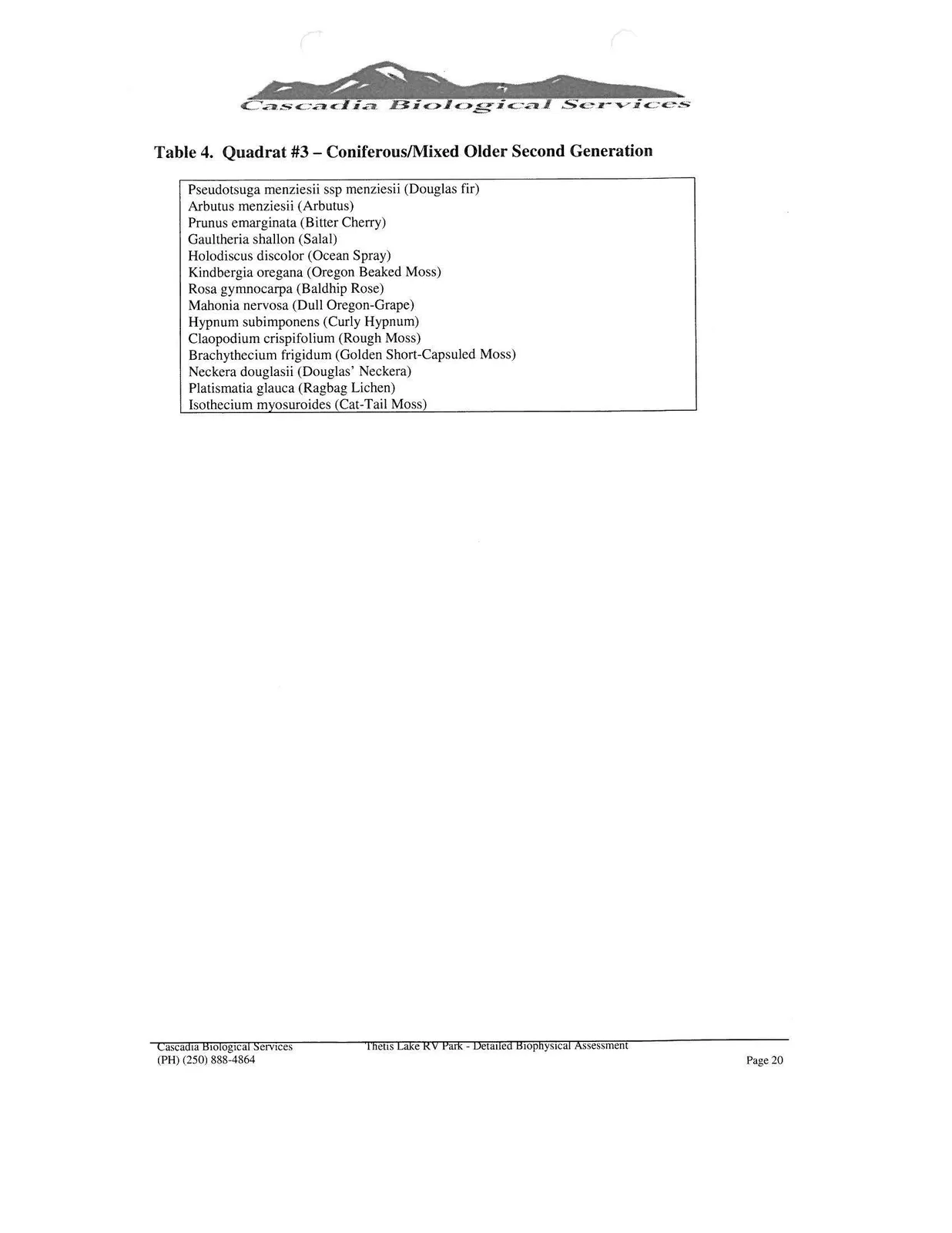 Document image