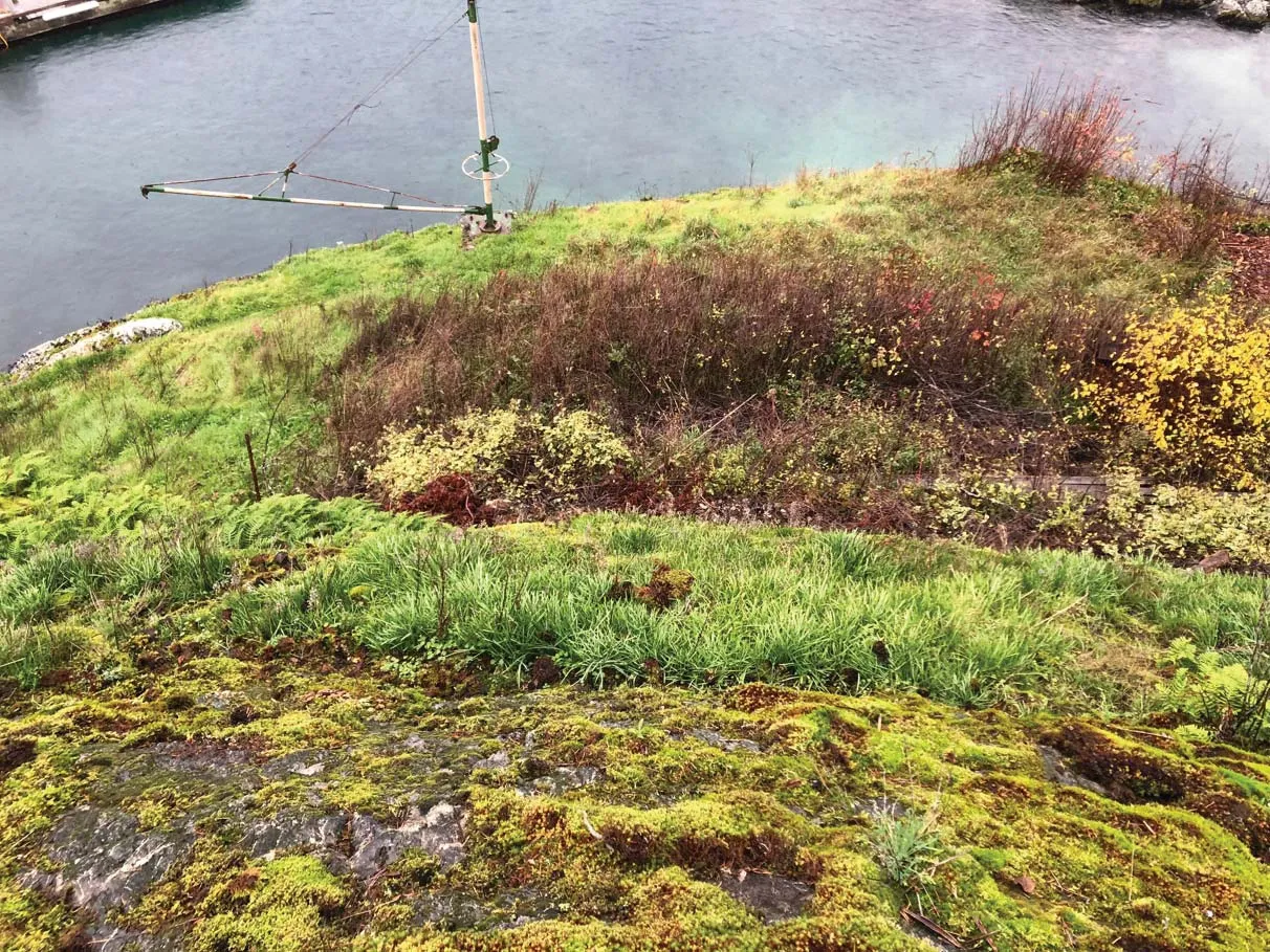 Photo 1. View looking east, downslope from the edge of the SDPA to the water.