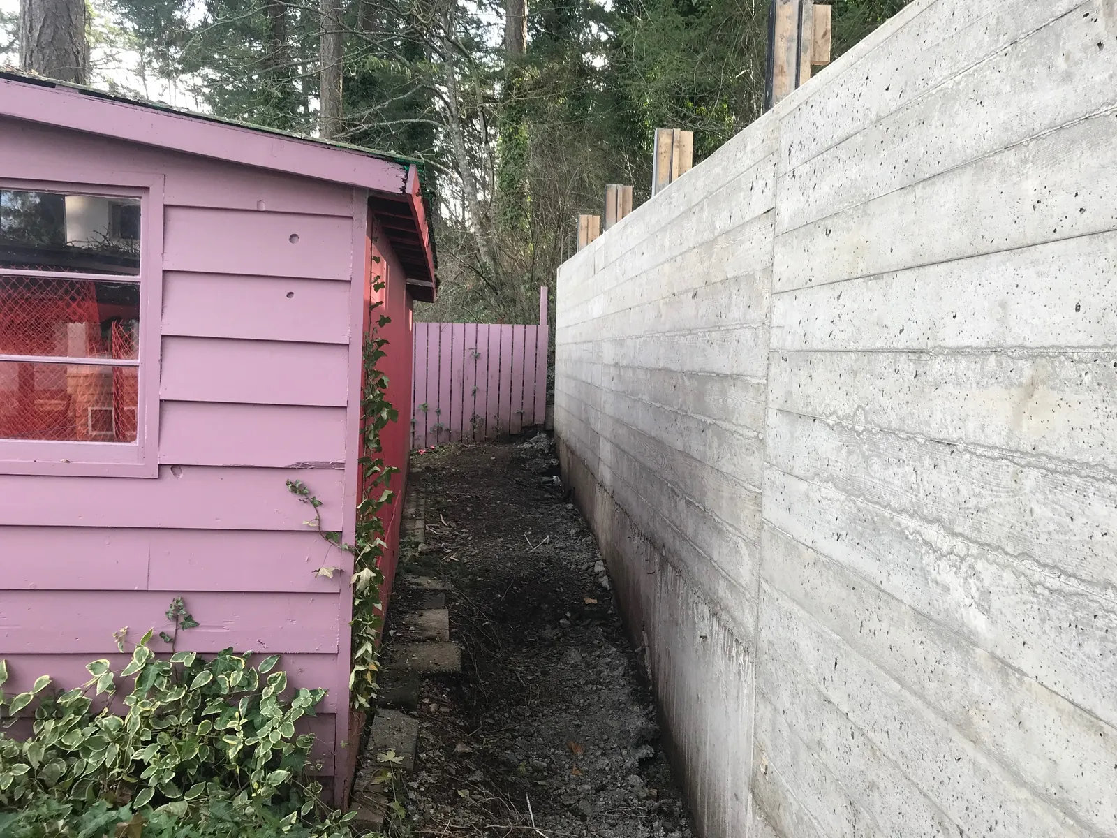 Close-up view of the narrow gap between a pink clapboard building and the concrete wall.