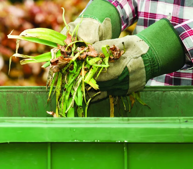 A person in work gloves placing organic yard waste into a green bin.