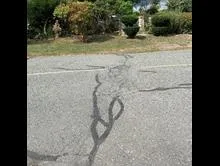 Photo of road pavement showing completed crack sealing maintenance