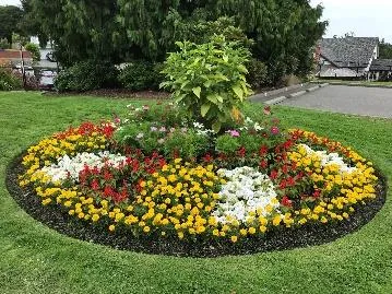 Flower bed at Town Hall