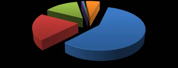 Pie chart showing % of Street Checks per Municipality Jan 1 - June 30, 2019