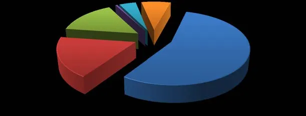 Pie chart showing % of Street Checks per Municipality Jan 1 - June 30, 2018
