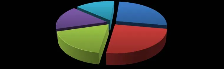 Pie chart showing the Top 5 Calls For Service from Jan 1 to June 30, 2019