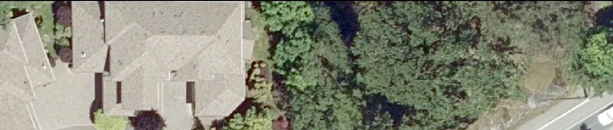 Aerial detail of residential rooftops and surrounding trees