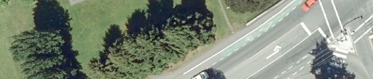 Aerial detail of a lawn area with vegetation and shadows