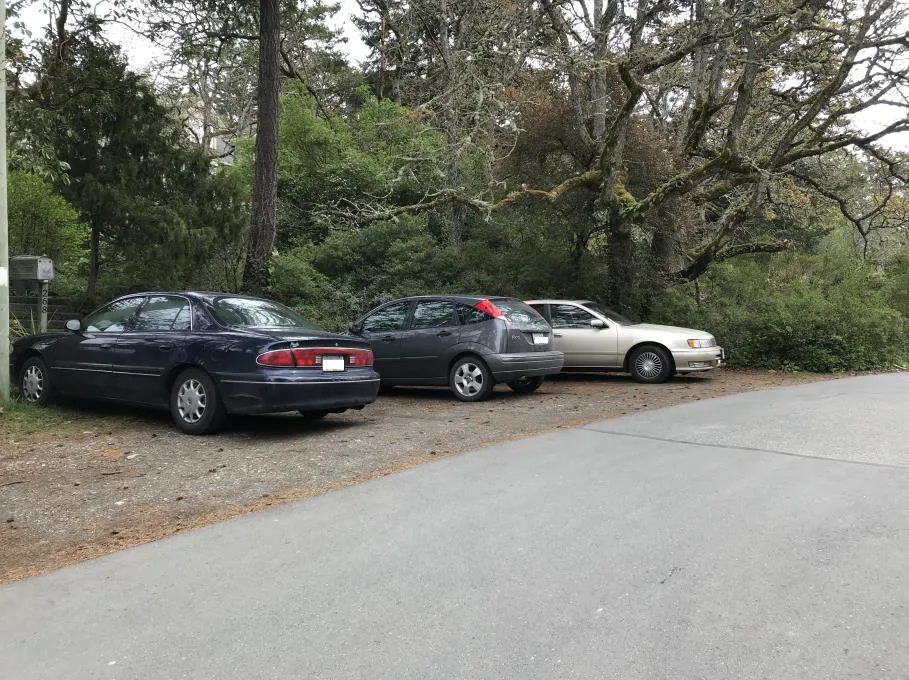 Photo depicting a silver SUV parked on a grassy boulevard under trees