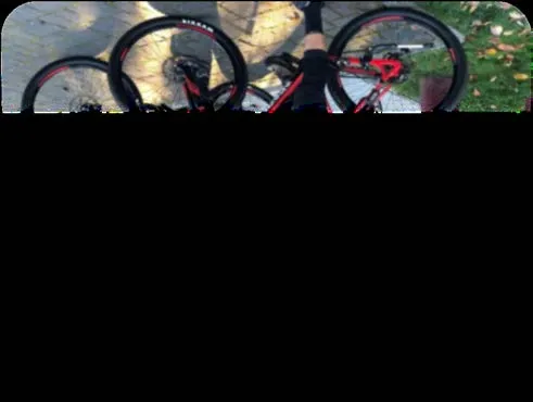Tweet from Nov 15, 2019, highlighting a drug trafficking bust by the Bike Unit