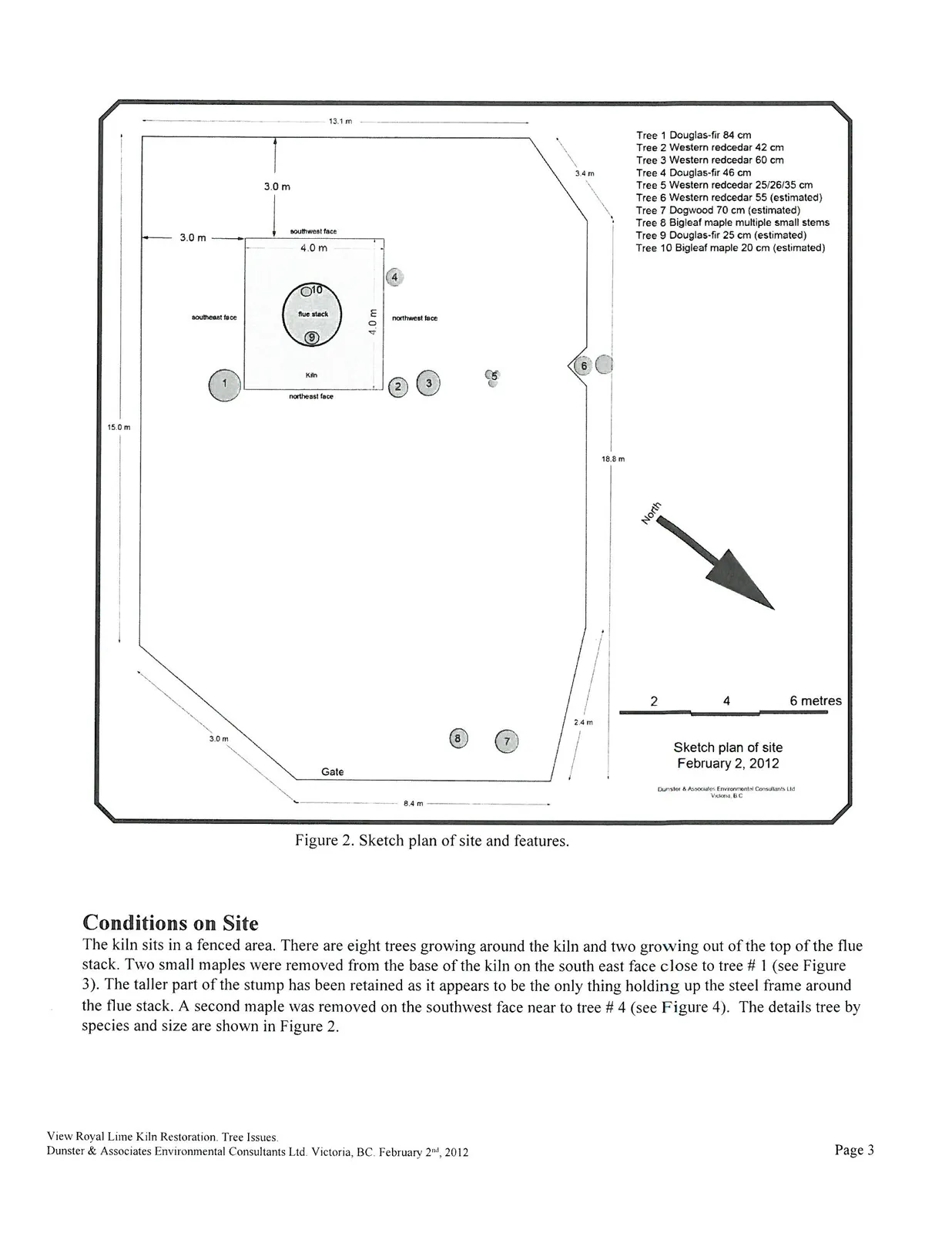 Figure 2. Sketch plan of site and features showing dimensions and tree locations