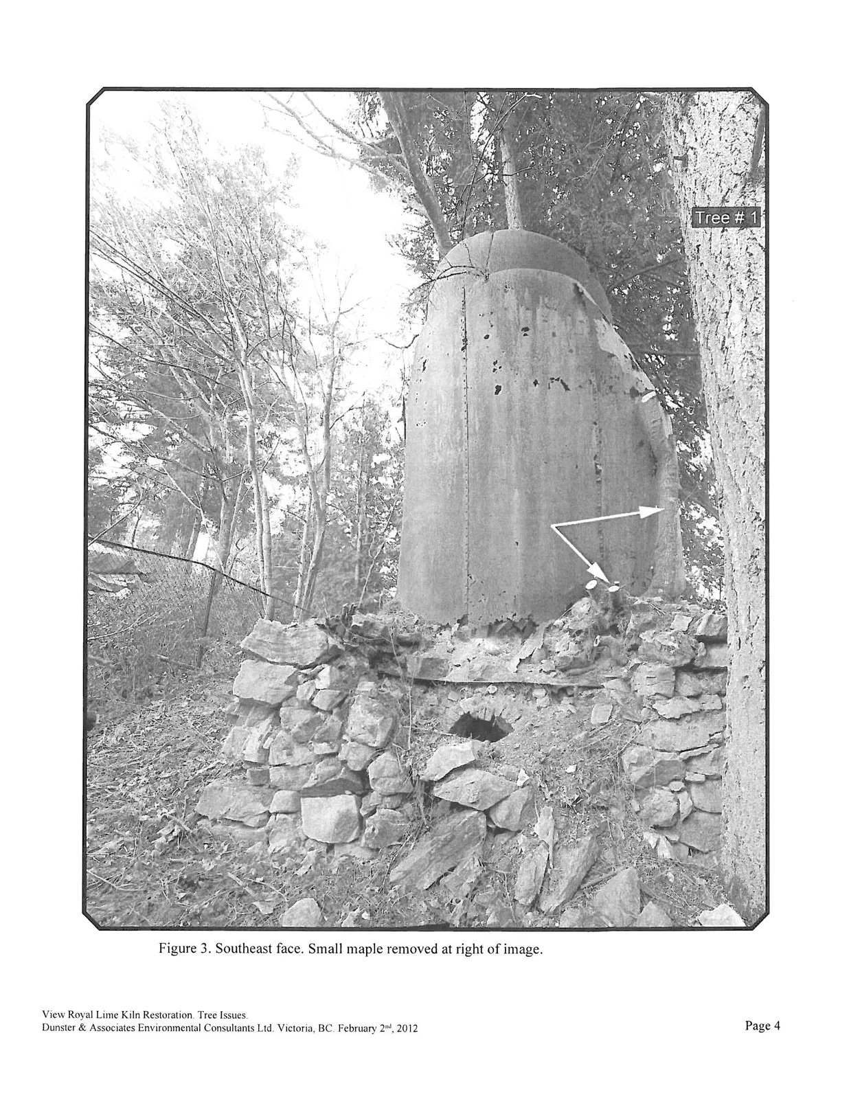 Figure 3. Southeast face. Small maple removed at right of image