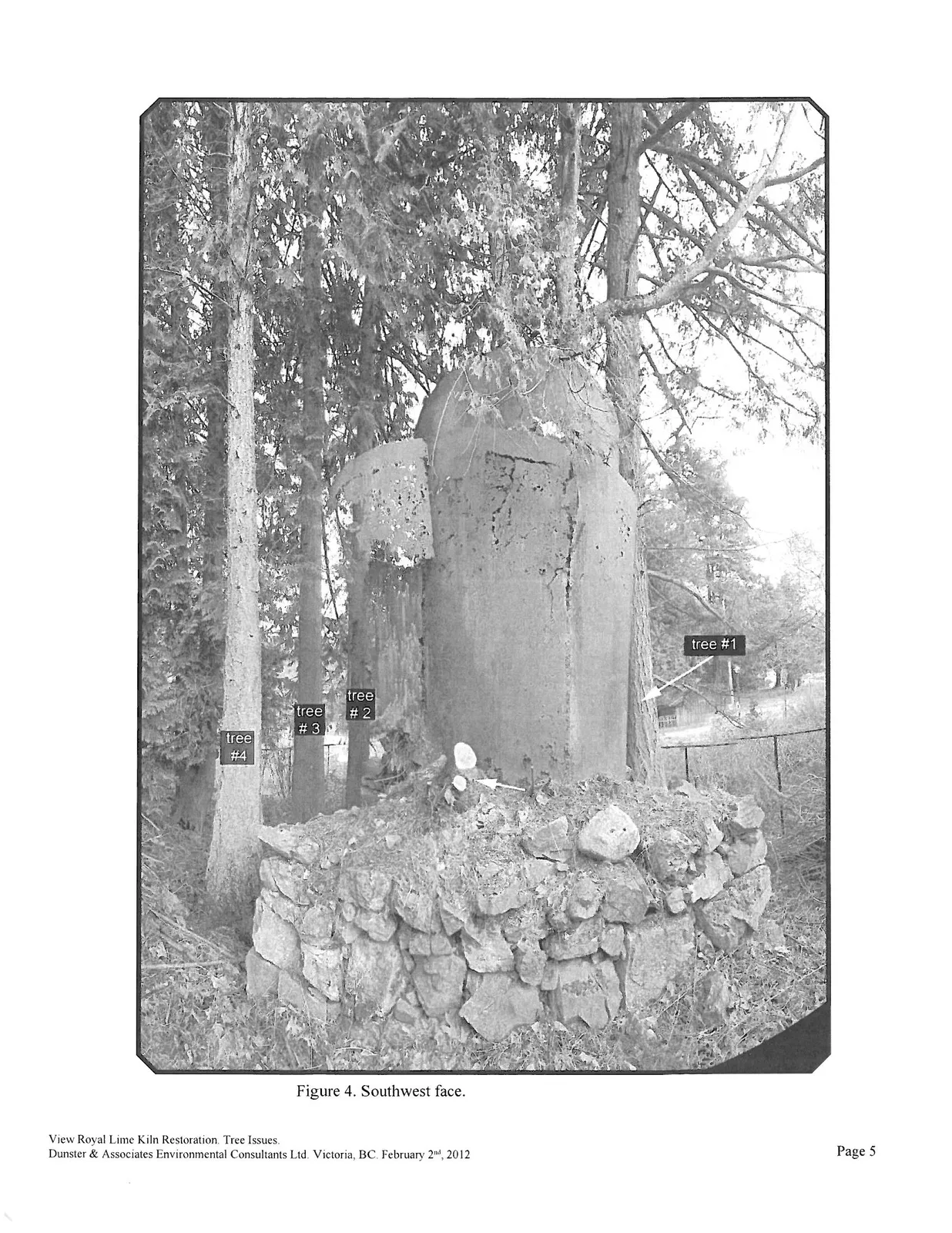 Figure 4. Southwest face showing tree #1, tree #2, tree #3, and tree #4