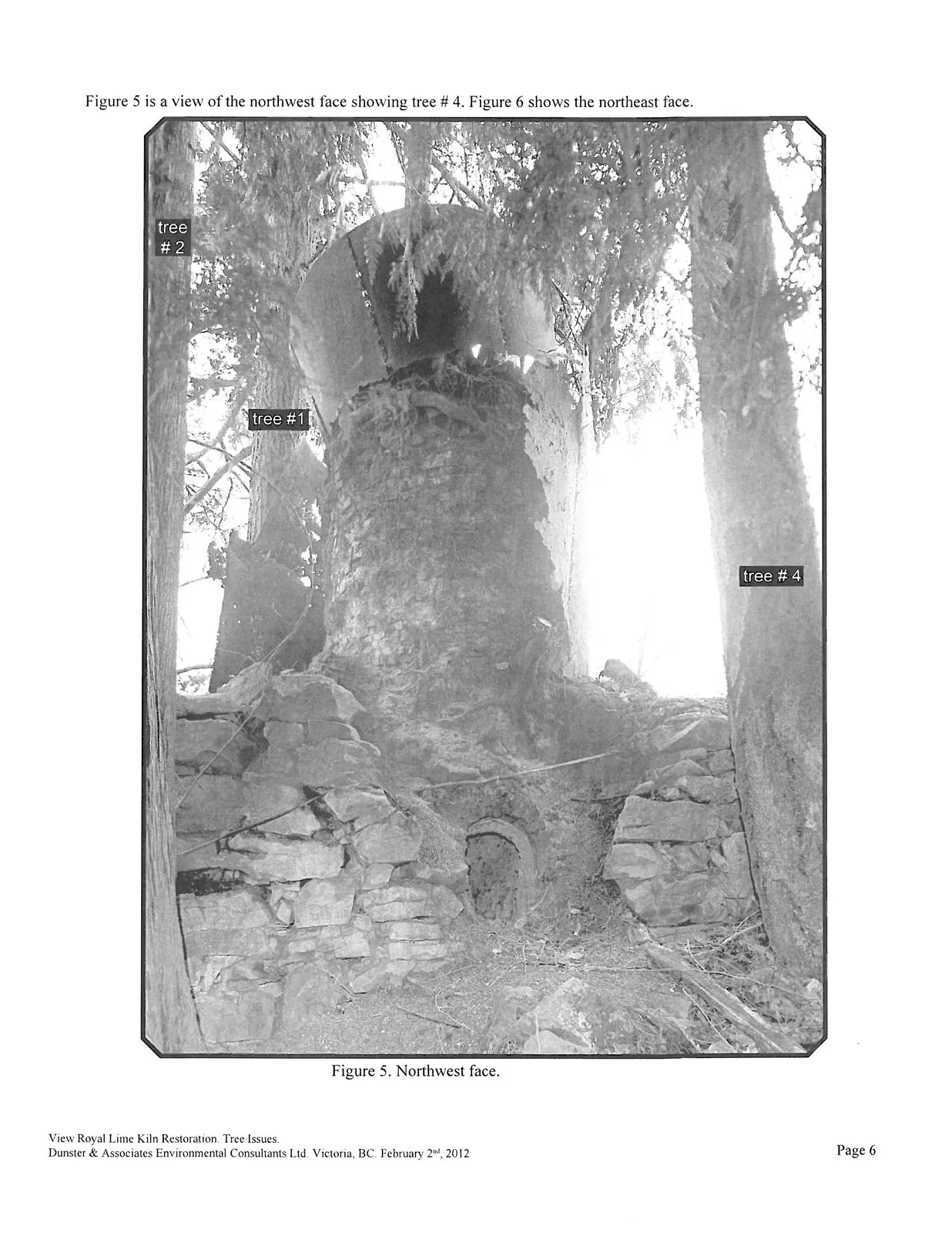 Figure 5. Northwest face showing tree #1, tree #2, and tree #4