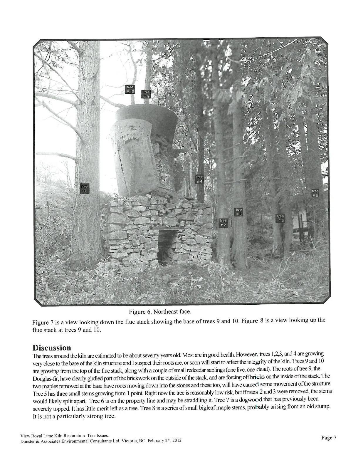 Figure 6. Northeast face showing trees #1 through #10
