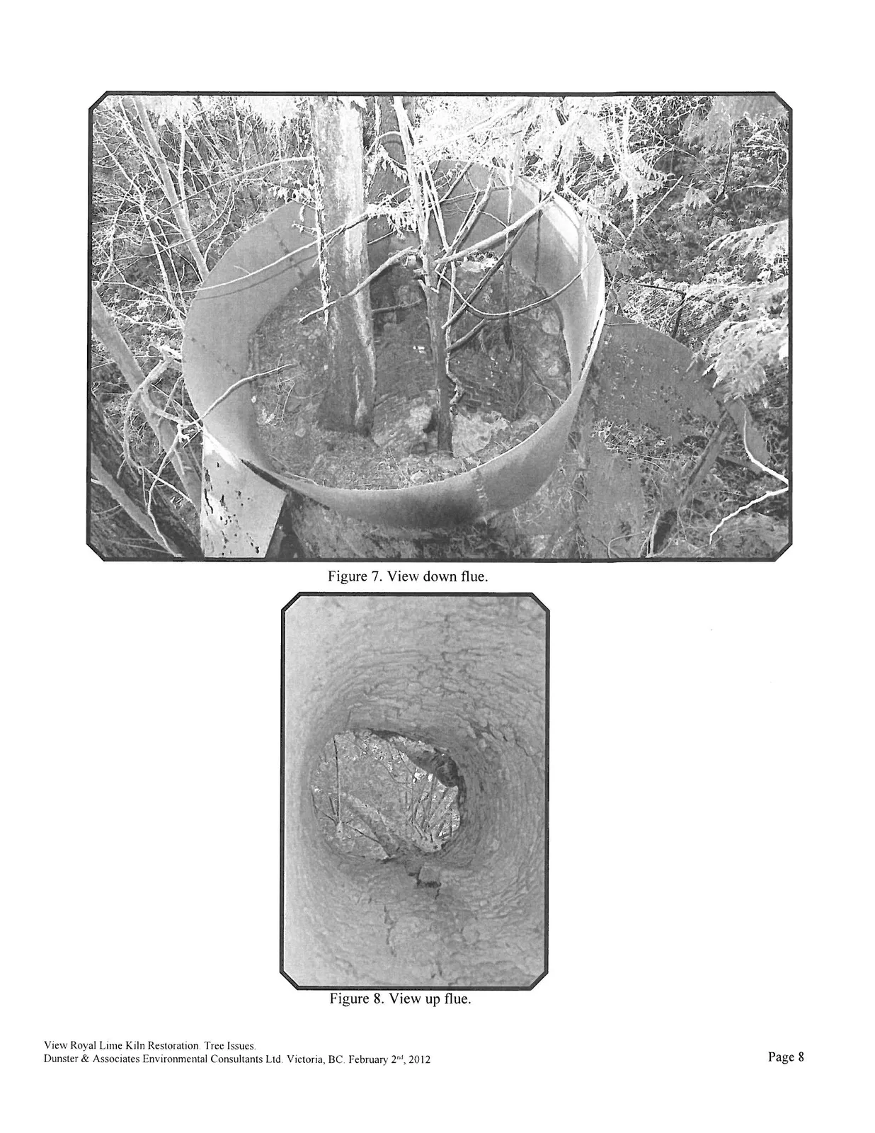 Figure 7. View down flue showing trees 9 and 10