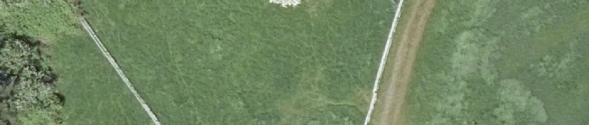 Aerial view of a green field with white boundary lines