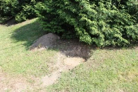Before picture of sewer manhole near 87 Marler Drive