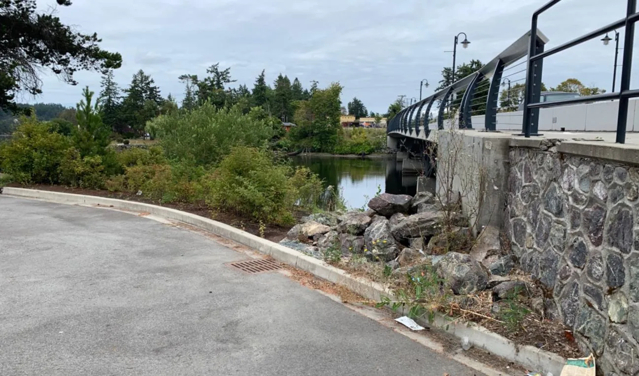 Figure 3. Photograph of a rockpile in the area proposed for the rain garden, adjacent to the Craigflower Bridge.