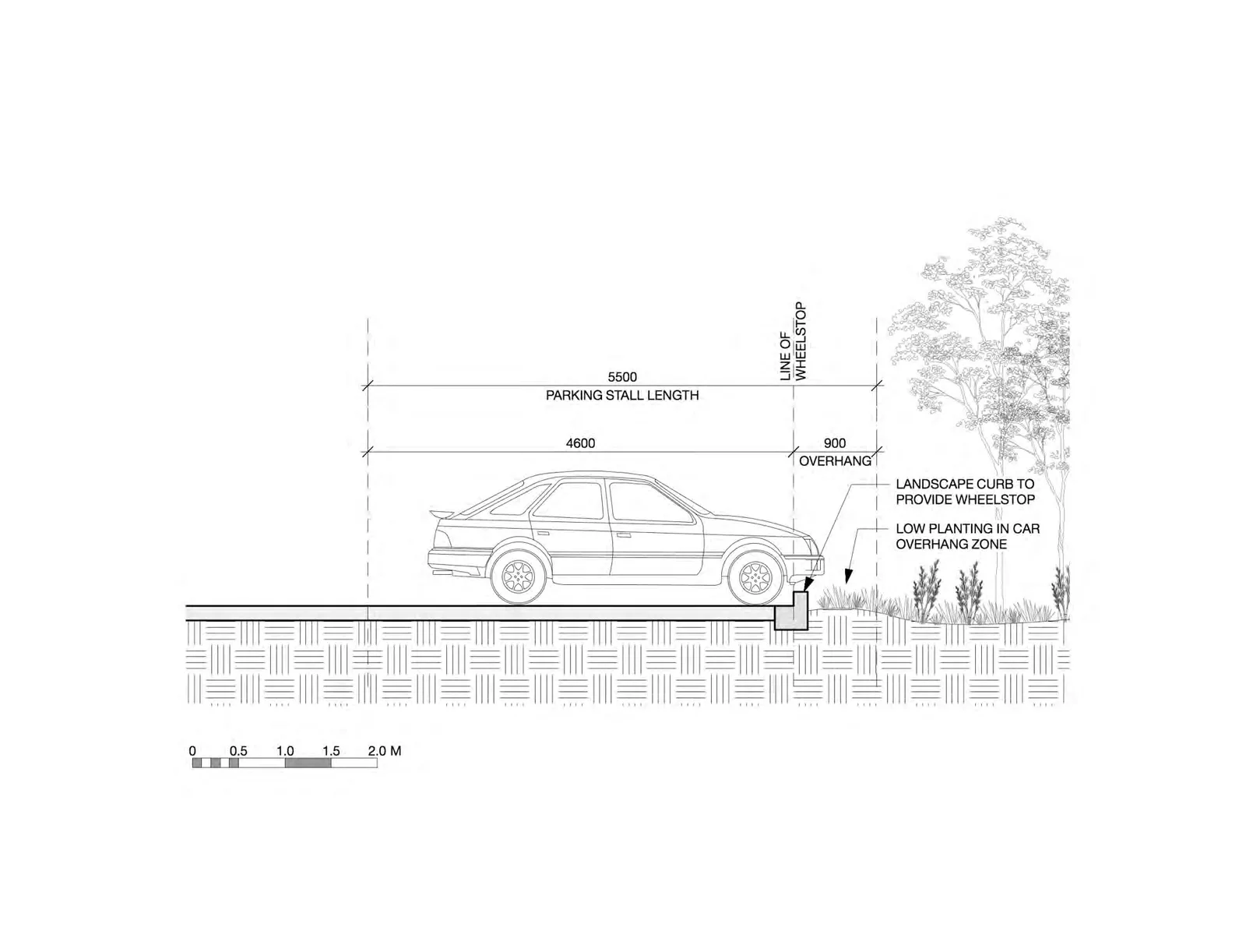 Section Sketch 1 - Parking Stall with Planting Overhang