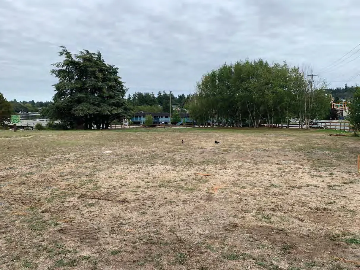 Photo 20. Looking from north property boundary to proposed Craigflower Hall location.