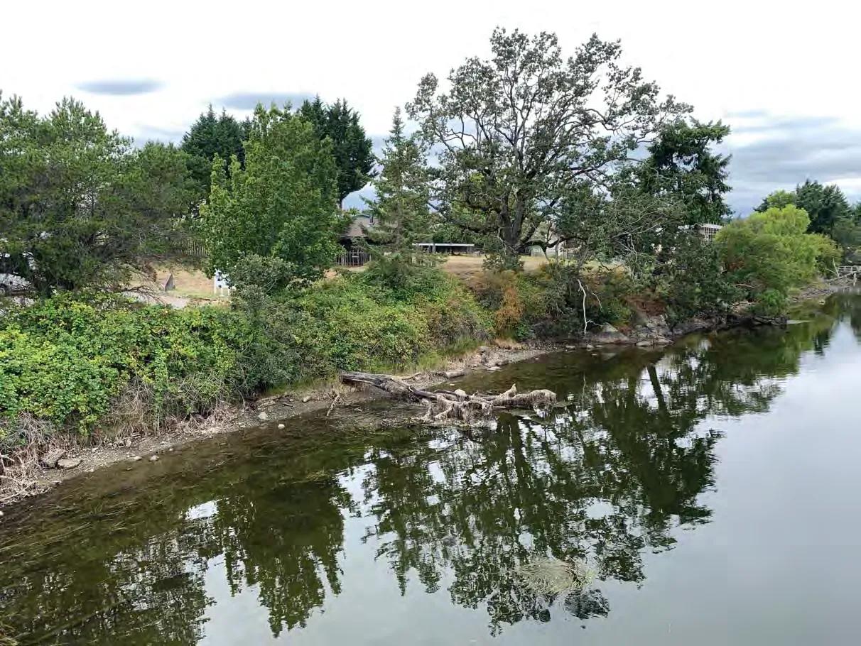 Photo 2. View looking west from Admirals Road Bridge, at the SDPA.