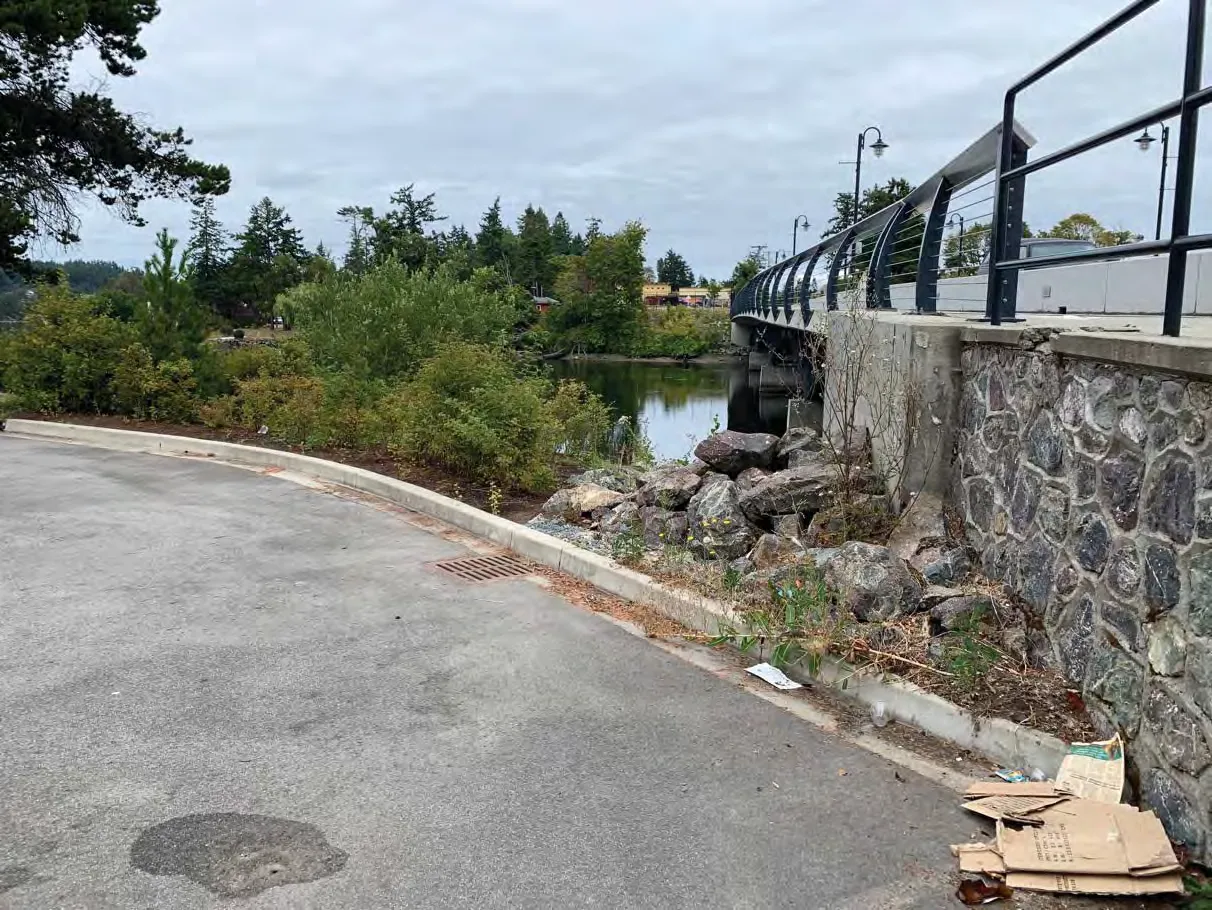 Photo 4. Catch basin and future raingarden area in the southeast area of the SDPA (to replace area recently planting with native species).