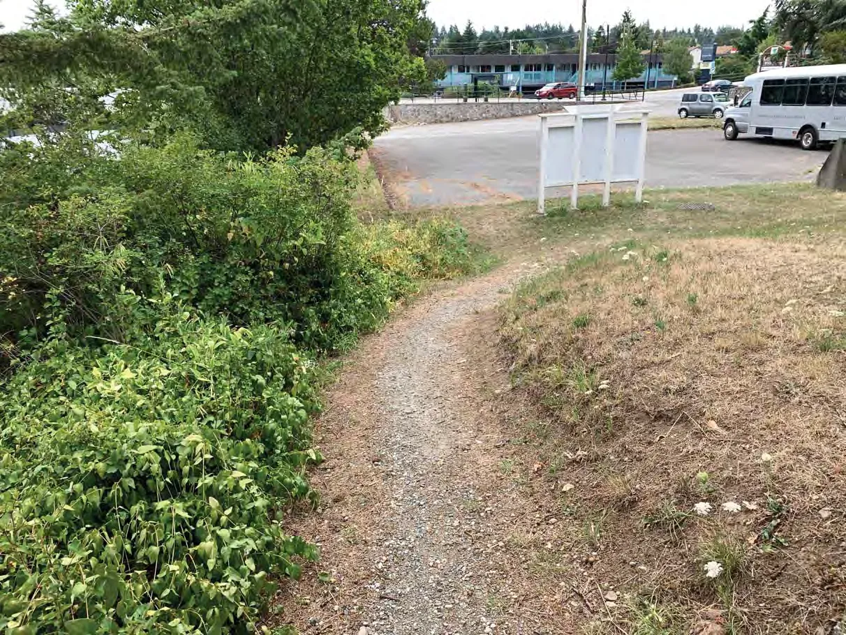 Photo 8. Trail and invasive species in the understory in the SDPA.