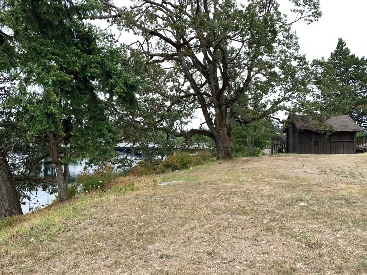 Photo 11. Lawn in the SDPA.