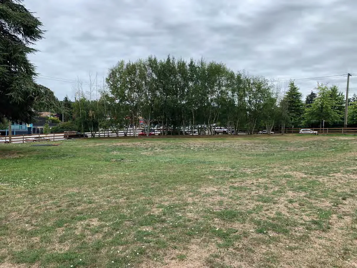 Photo 17. Lawn in the area of the proposed Craigflower Hall.