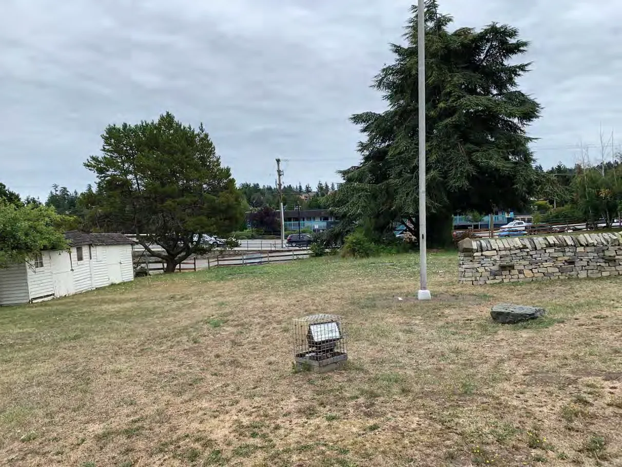 Photo 18. Stand of trees, lawn and outbuildings outside the SDPA.