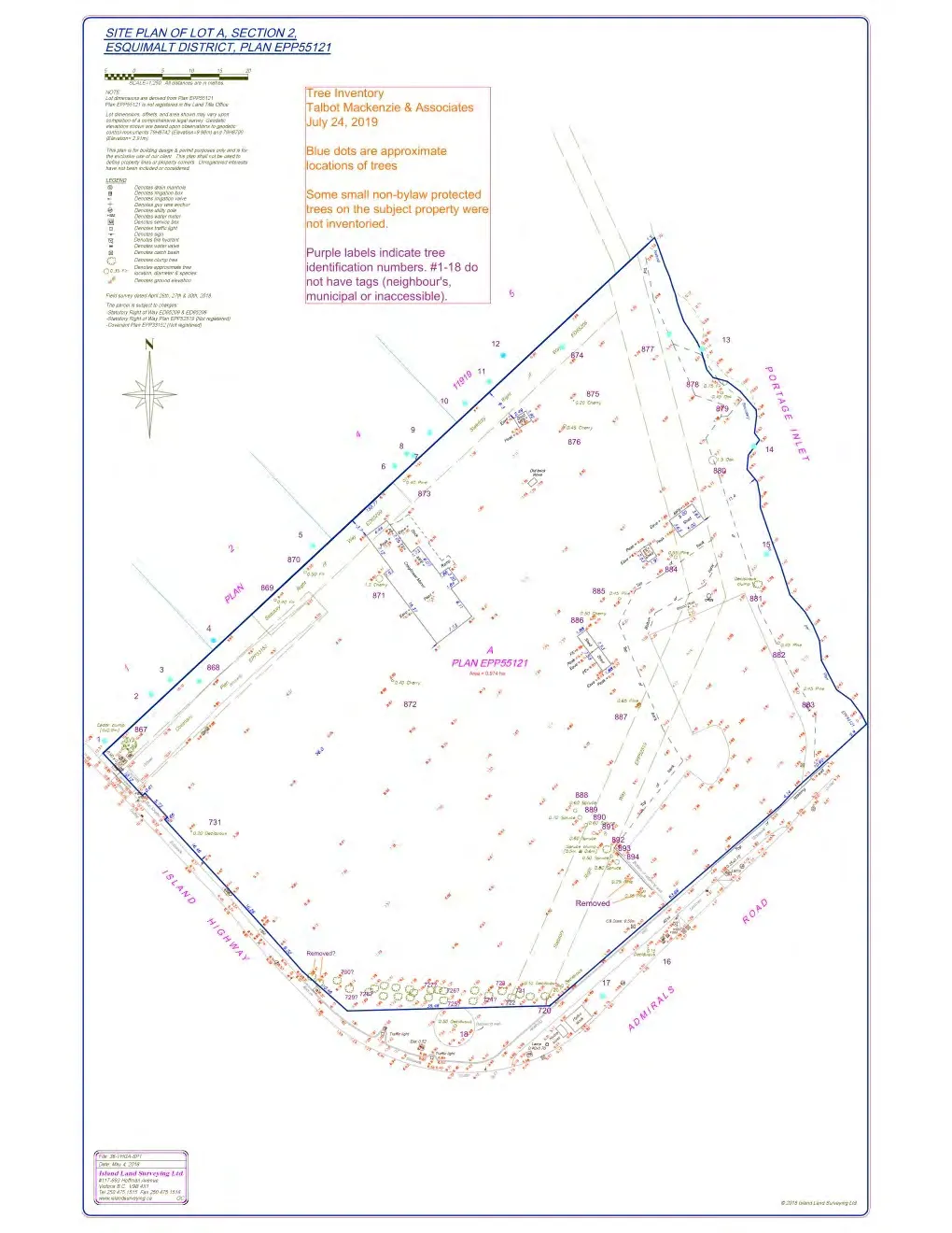 Document image