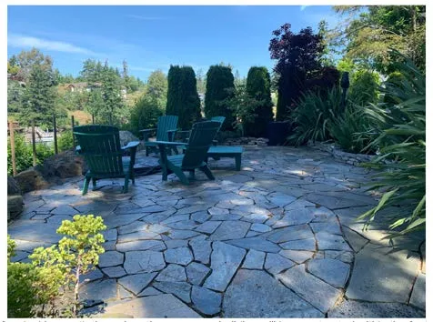 Photo of the existing stone paver patio area surrounded by trees and landscaping