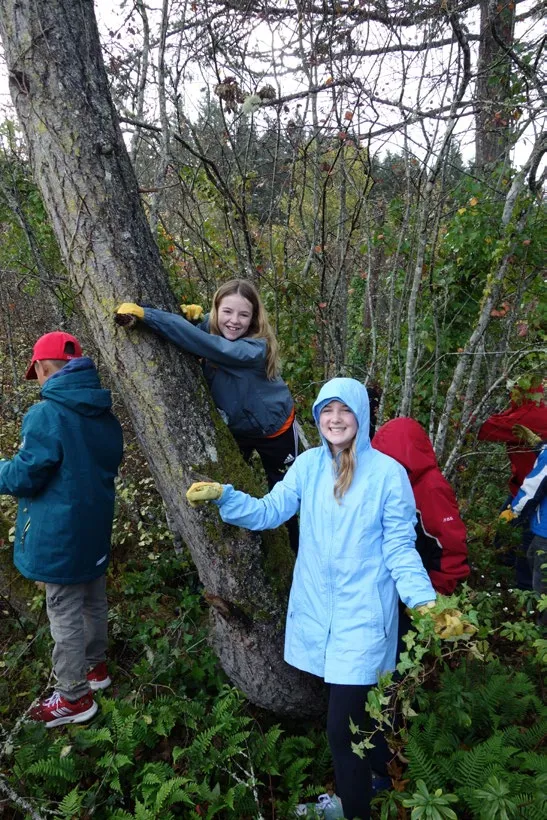 A group of youth volunteers gathered around and hugging a large moss-covered tree